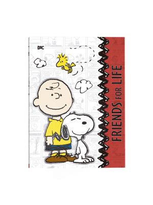 Pasta Catálogo Snoopy - 5191